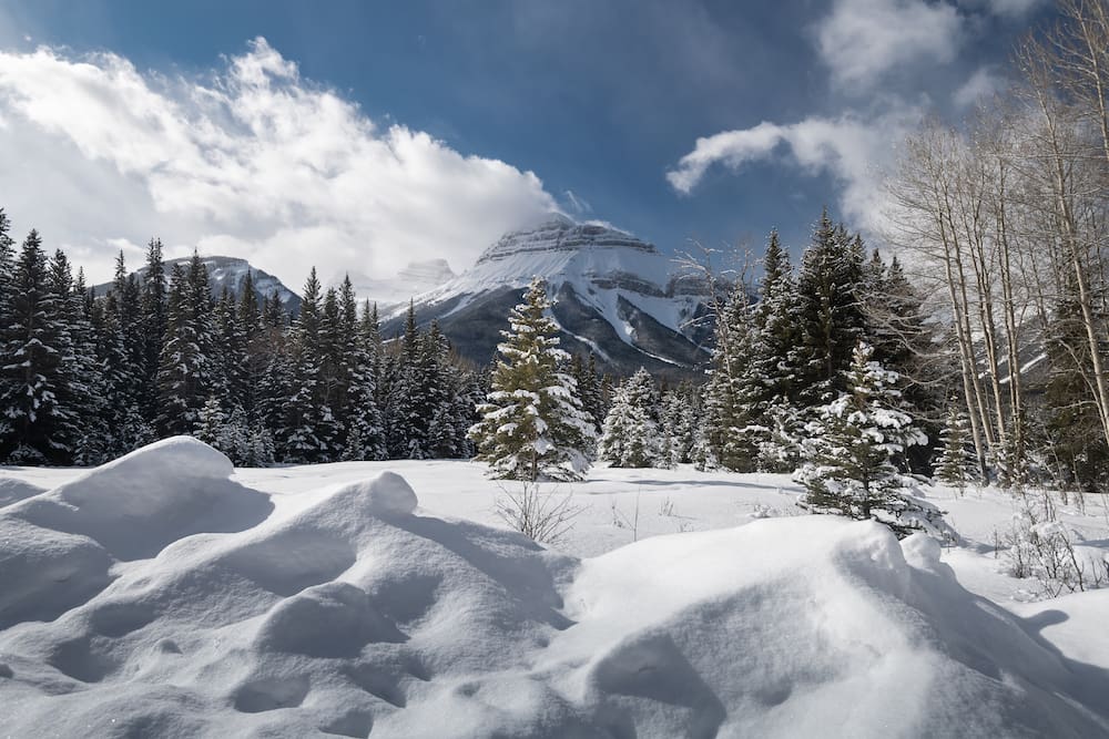 Tips For RVing at Provincial & National Parks